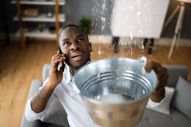 Best Water damage repair service  in Palos Park, IL