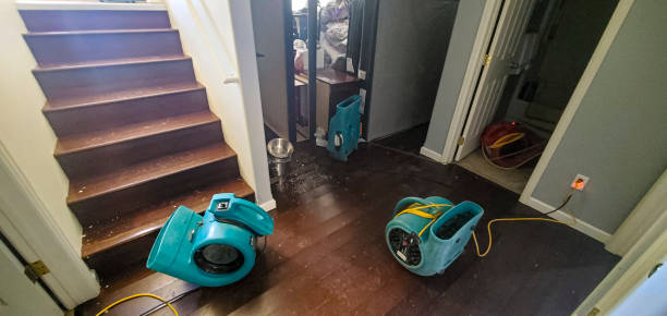 Best Emergency water damage restoration  in Palos Park, IL