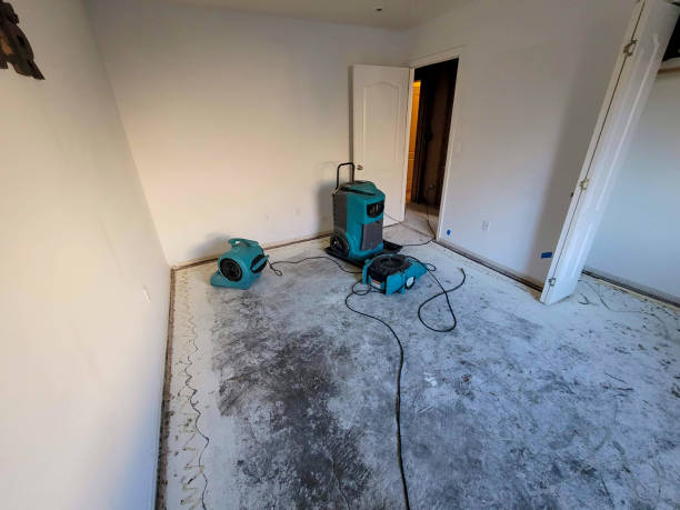 Best Mold removal after water damage  in Palos Park, IL