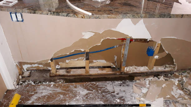 Best Ceiling water damage repair  in Palos Park, IL