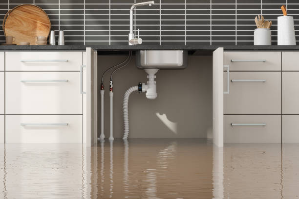 Best Professional water damage repair  in Palos Park, IL