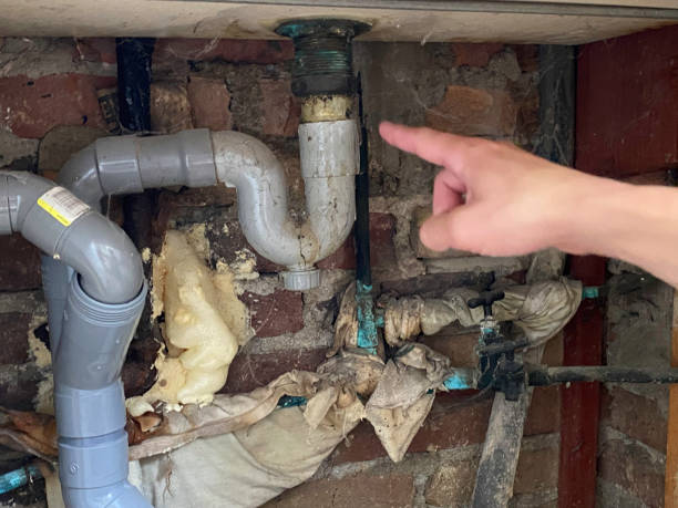 Best Water damage restoration services  in Palos Park, IL