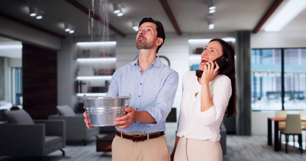 Best Professional water damage repair  in Palos Park, IL